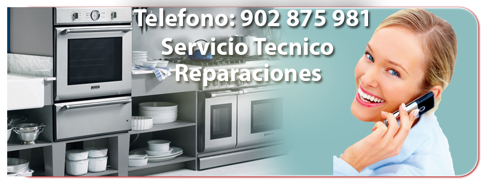 Servicio Tecnico Frigorificos  en Burgos. Telefono 902 808 187 Reparacion de Frigorificos